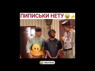 video by prikoldesy